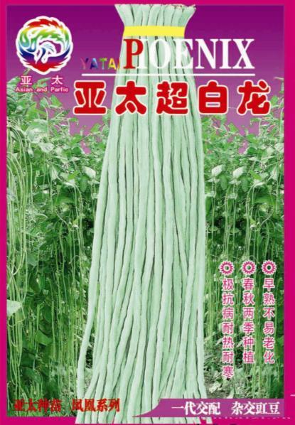 亚太超白龙