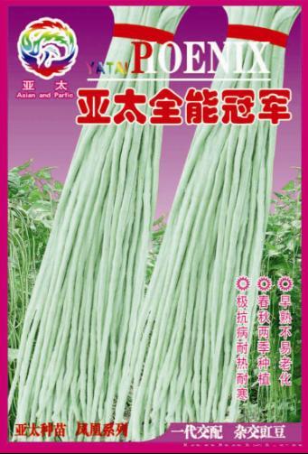亚太全能冠军
