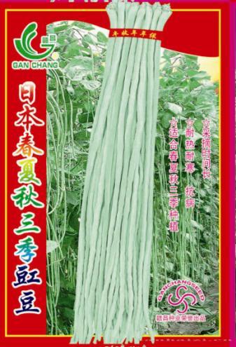 日本春夏秋三季豇豆