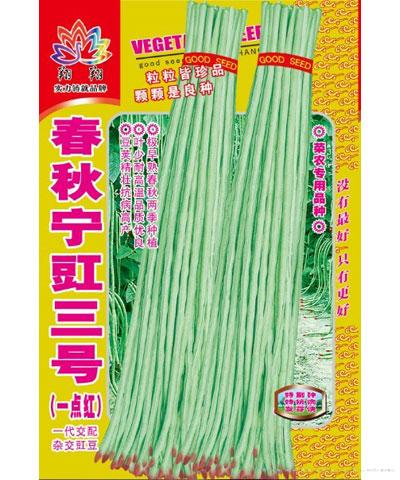 春秋宁豇三号