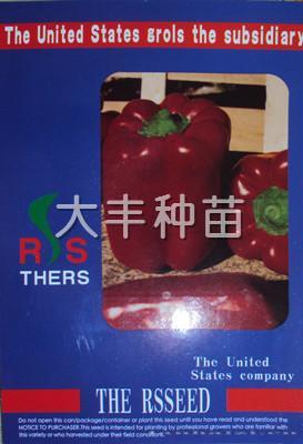 红星