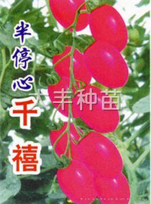 半停心千禧