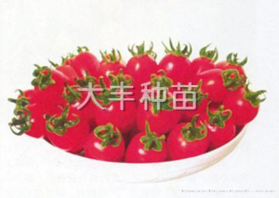 阿娇
