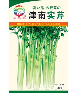 津南实芹—芹菜种子