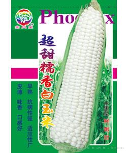 超甜糯白玉米