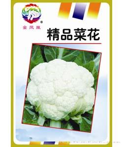 超级白花菜