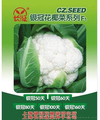 银冠花椰菜