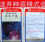 原装进口泷井交配中生卢比紫甘蓝种子