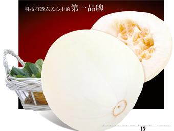 齐育&八号