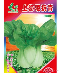 新选上海矮抗青