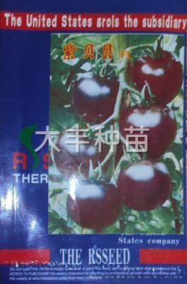 紫贝贝
