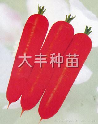 坂田七寸