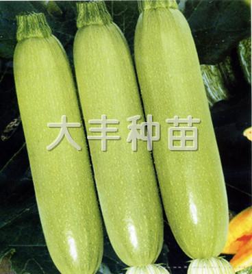 热火