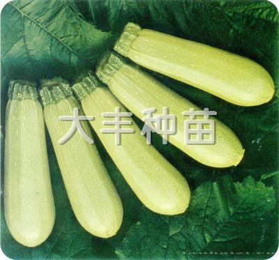 新改良碧玉
