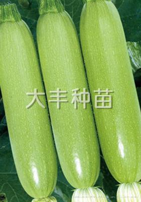 夏秋宝
