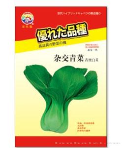 杂交青梗菜
