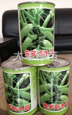 俄罗斯冬霸