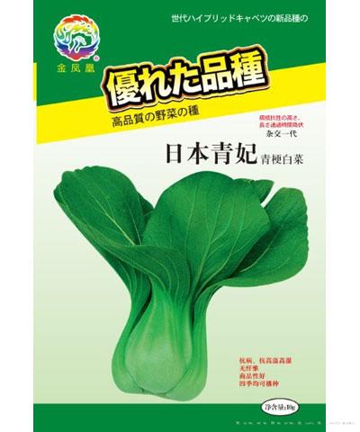 日本青妃青梗菜