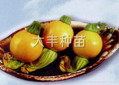 黄珍珠南瓜