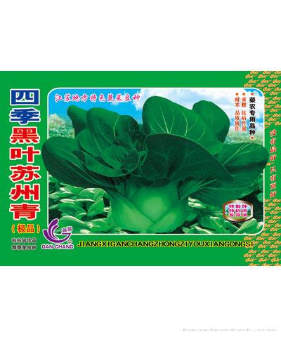 四季黑叶苏州青