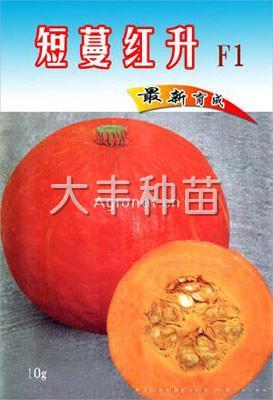 短蔓红升