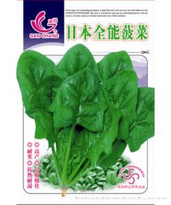 日本全能菠菜