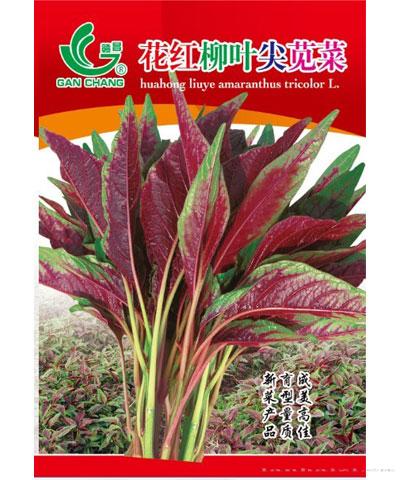 花红柳叶尖苋菜