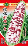稼优彩糯一号