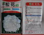 松花65