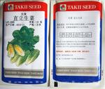 直立生菜种子