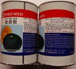 新型白皮南瓜种子