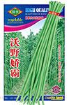 沃野娇霸