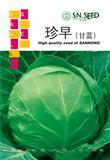 珍早