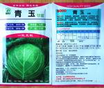 青玉