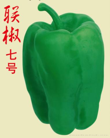 供应联椒七号—辣椒种子甜椒种子