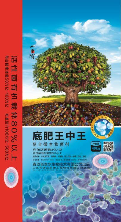 底肥王中王