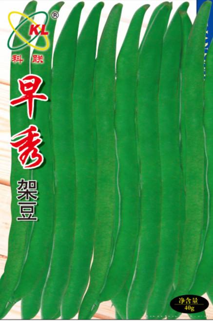 供应早秀架豆—菜豆种子