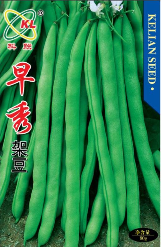 供应早秀架豆—菜豆种子