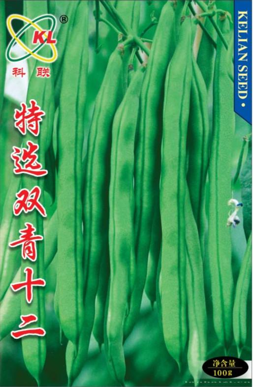供应特选双青十二—菜豆种子