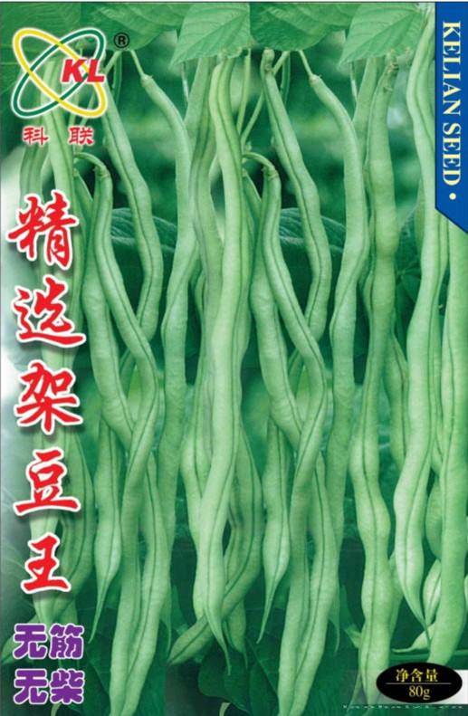 供应精选架豆王—菜豆种子