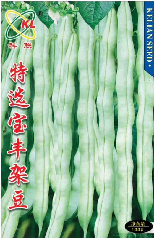 供应特选宝丰架豆—菜豆种子