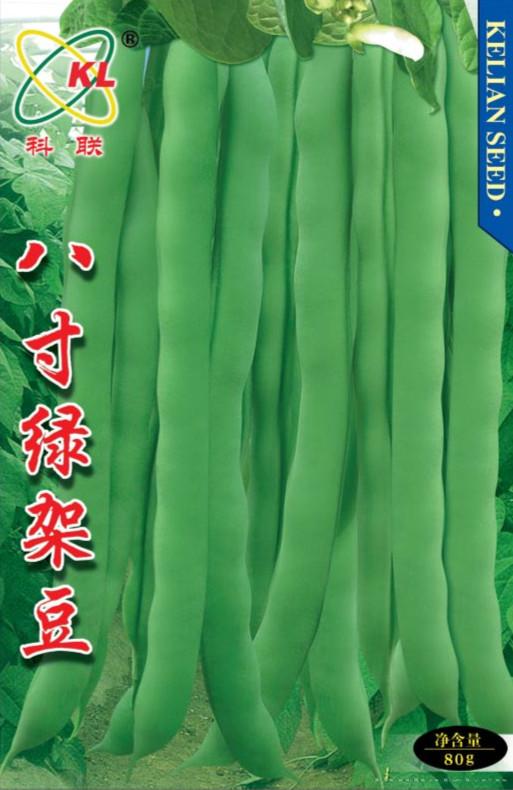 供应八寸绿架豆—菜豆种子
