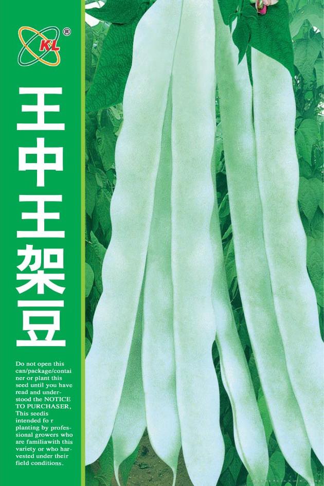 供应王中王架豆—菜豆种子