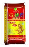 大龙快客