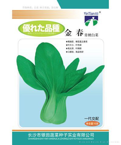 金春