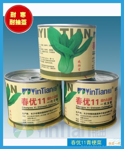 春优11青梗菜