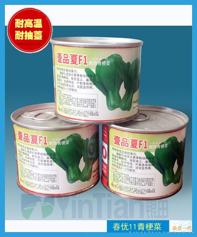 壹品夏耐热青梗菜