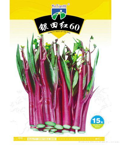银田红60