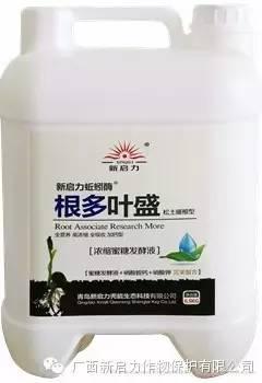 新启力蚯蚓酶根多叶盛