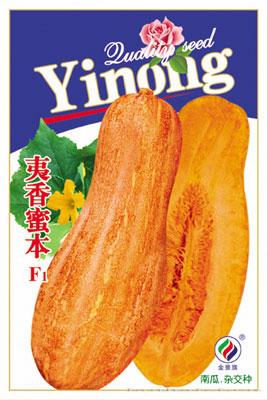 夷香蜜本--南瓜种子 